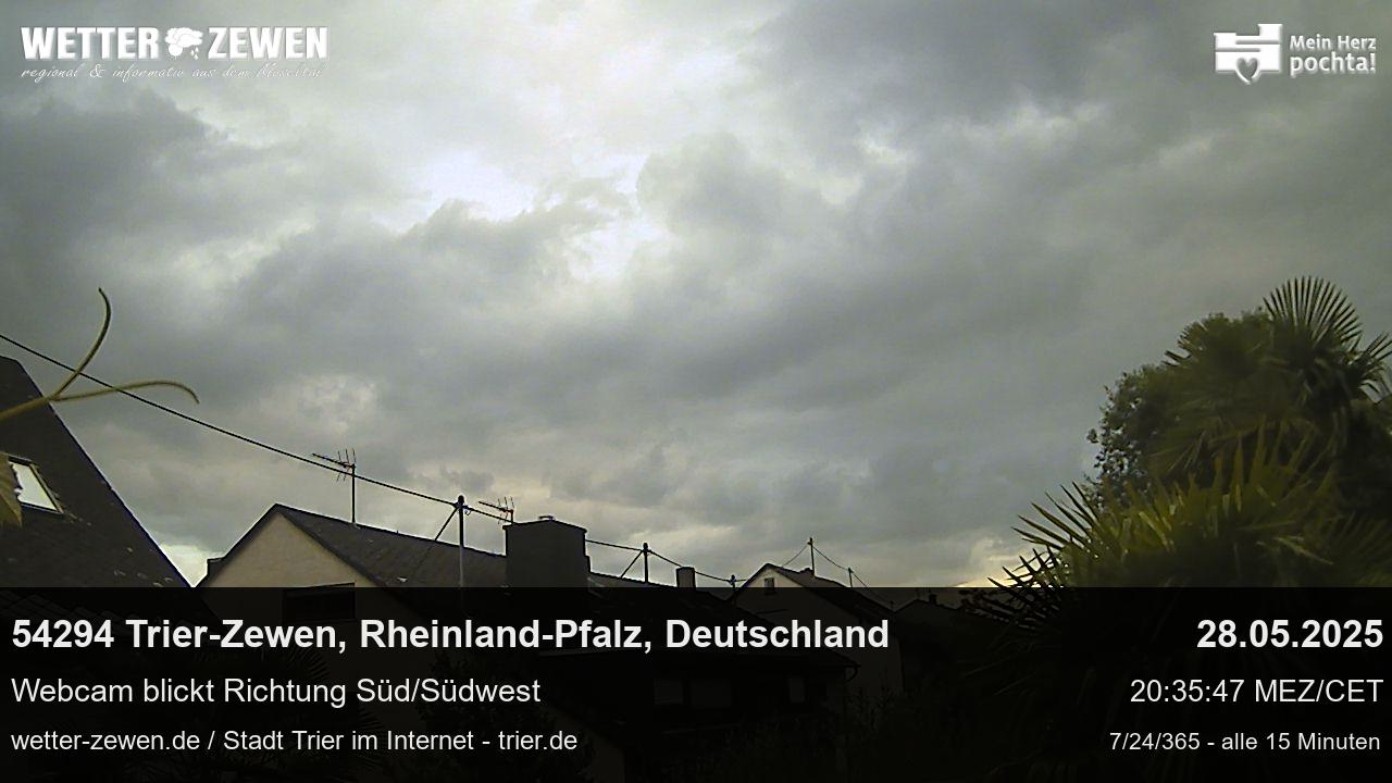 Bild