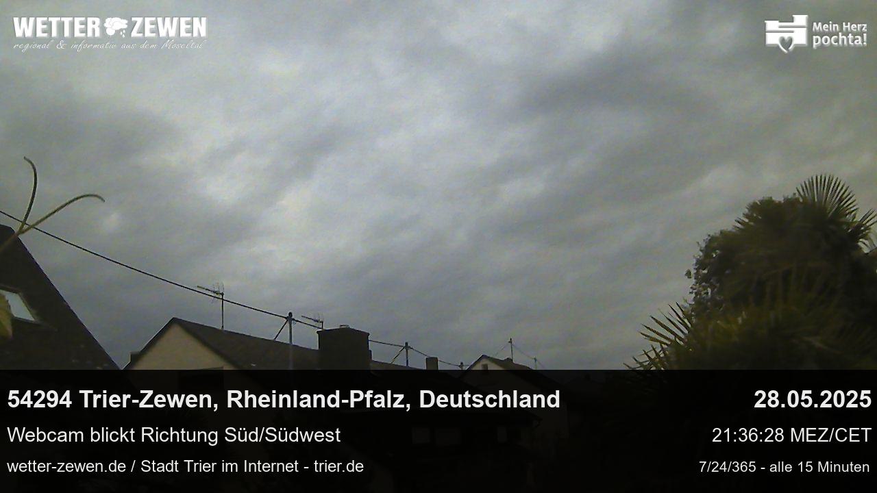 Bild
