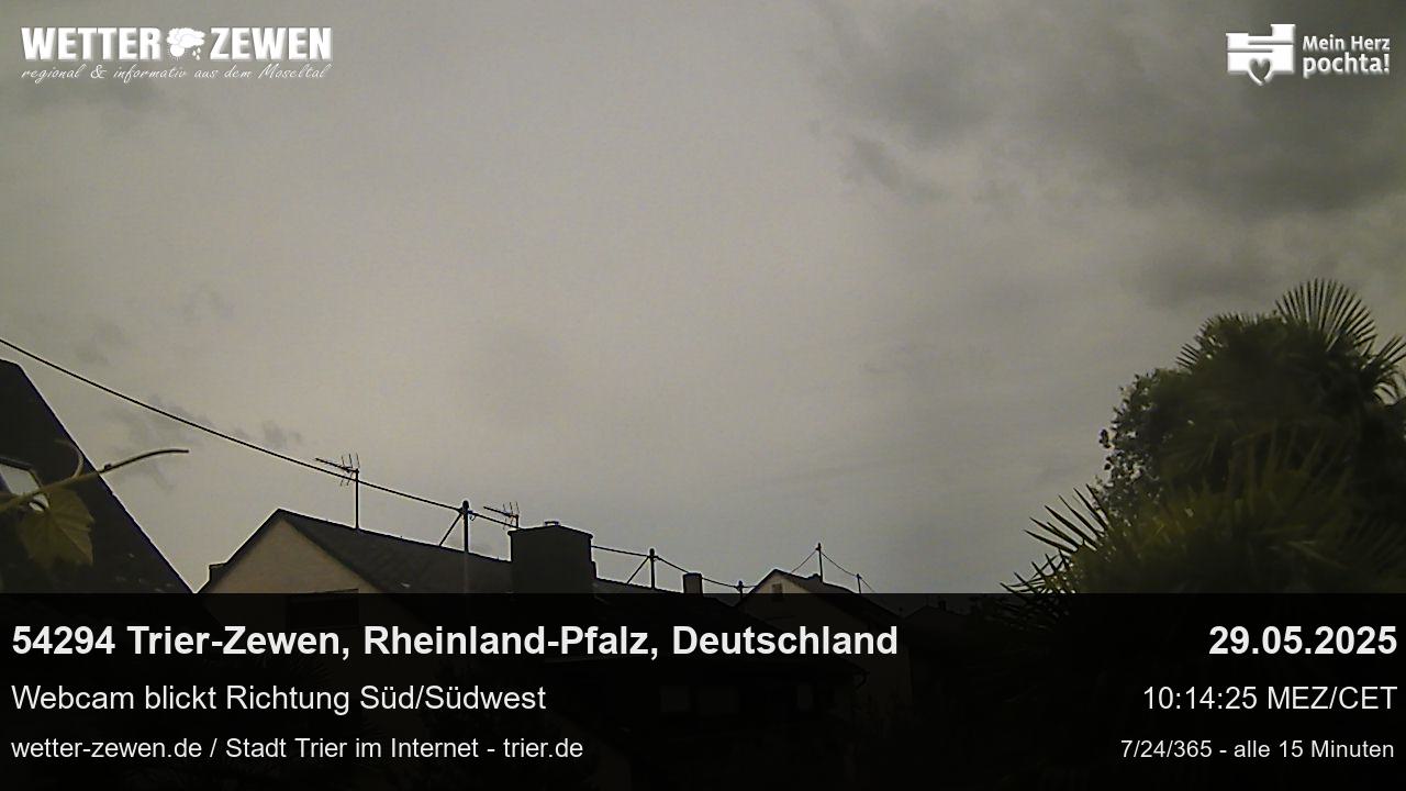 Bild