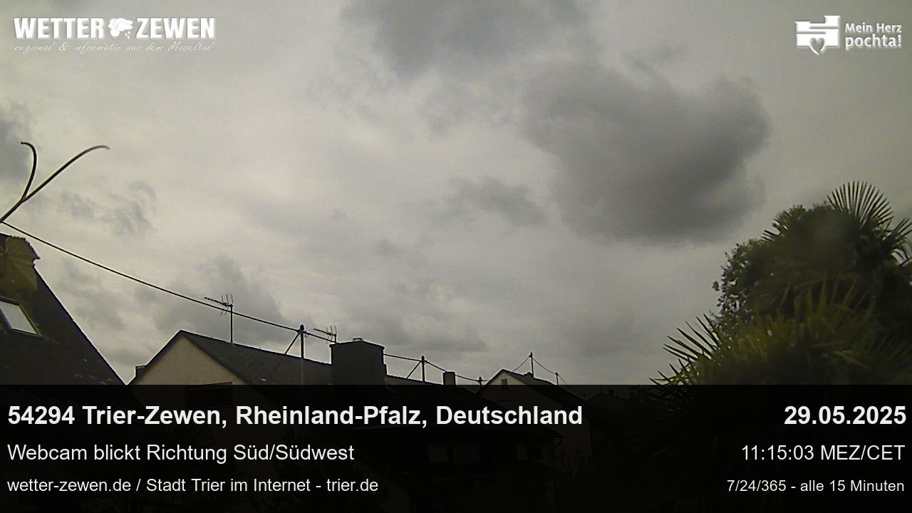Bild