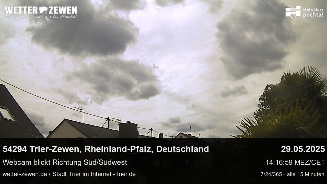 Bild