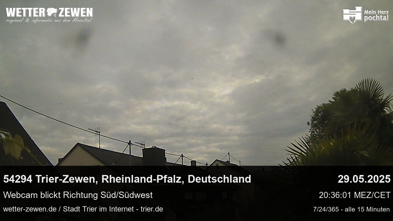 Bild