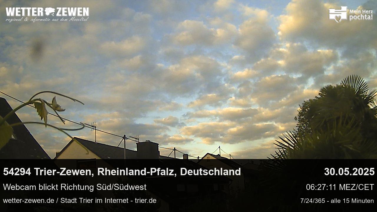 Bild