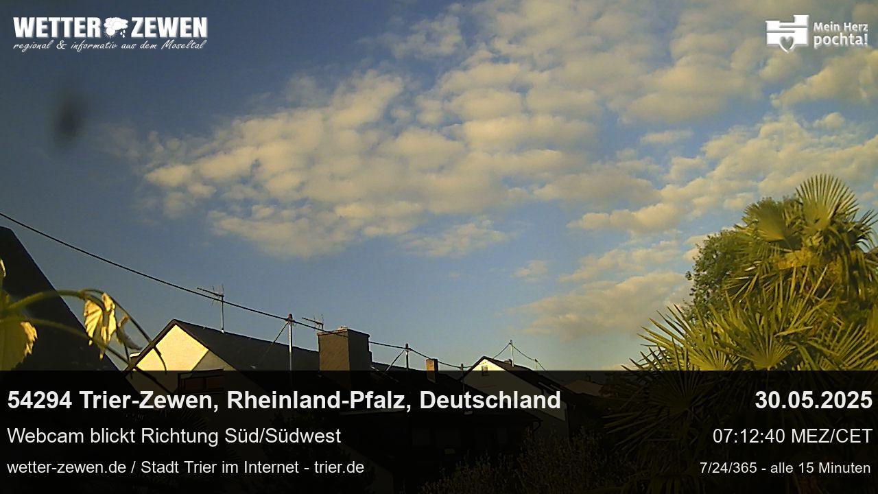 Bild