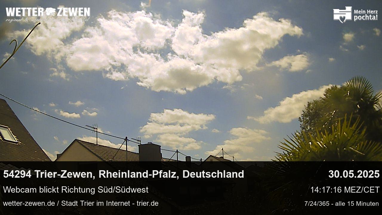 Bild