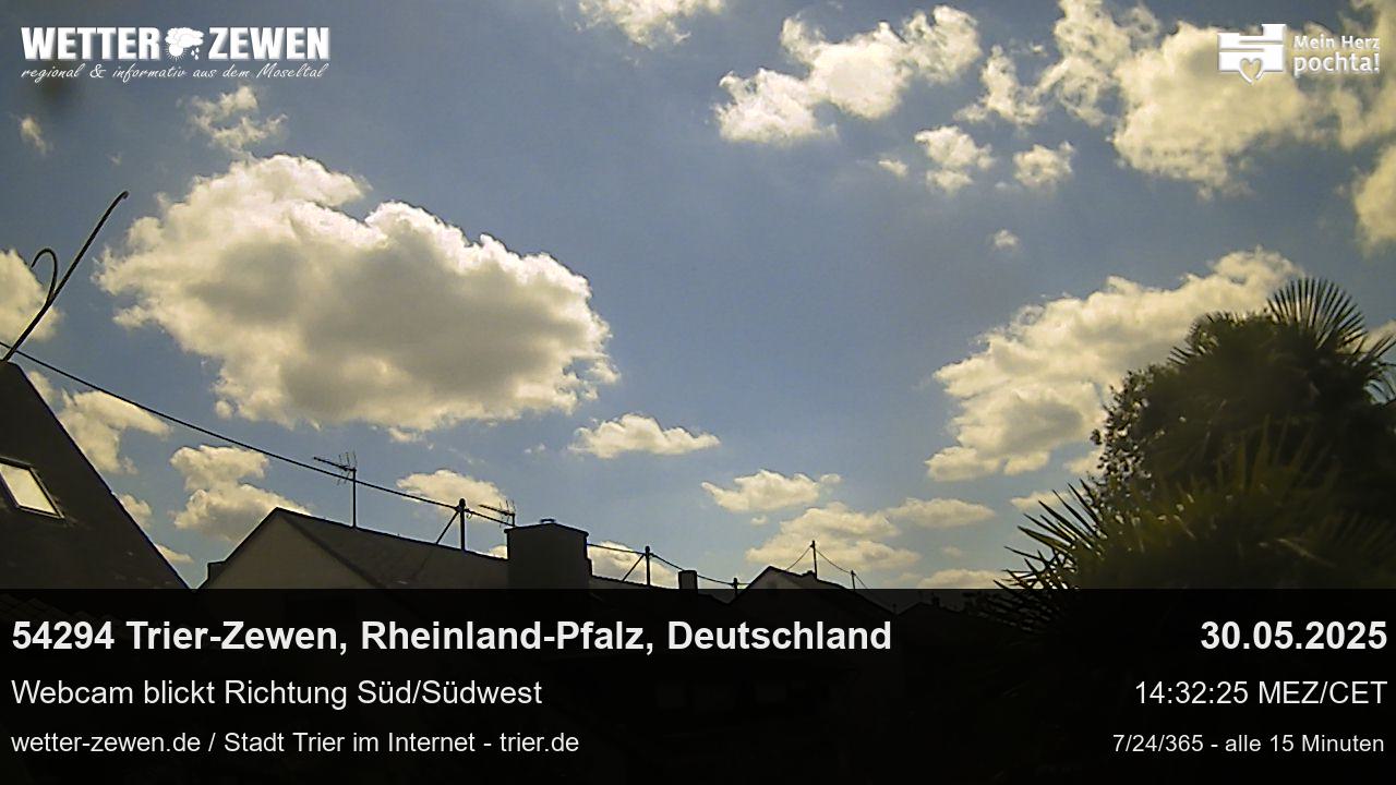 Bild