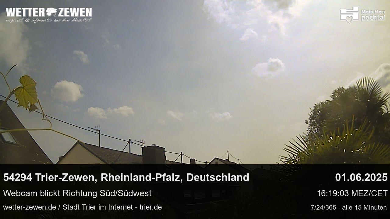 Bild