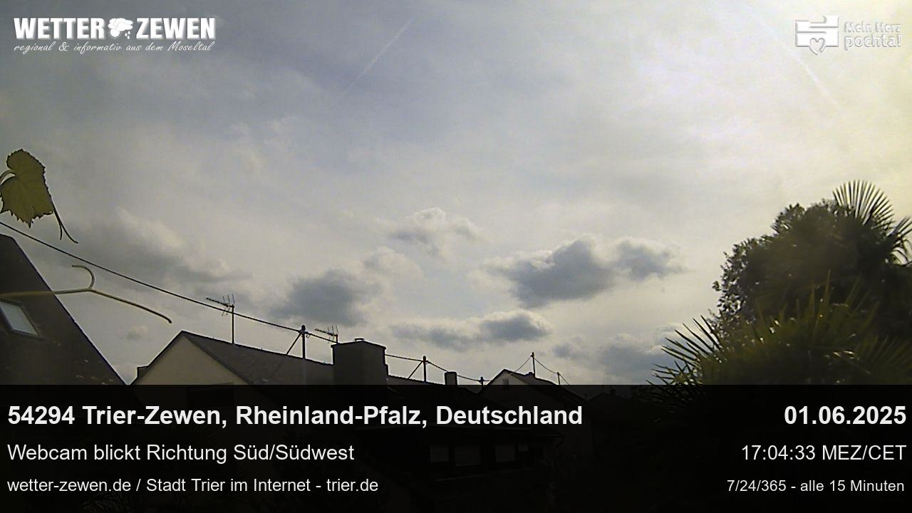 Bild