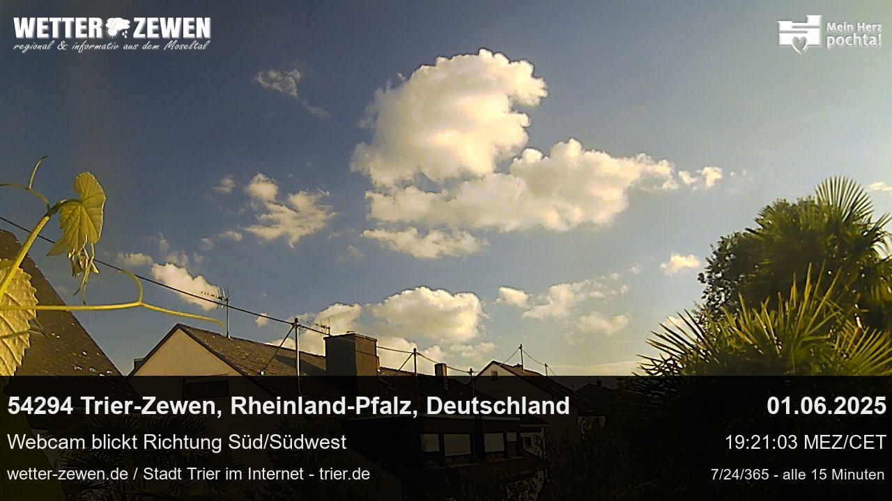 Bild
