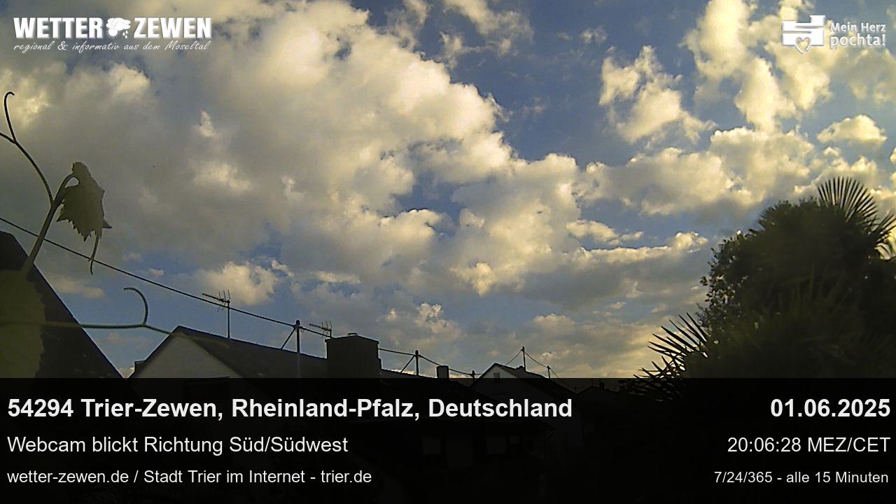 Bild