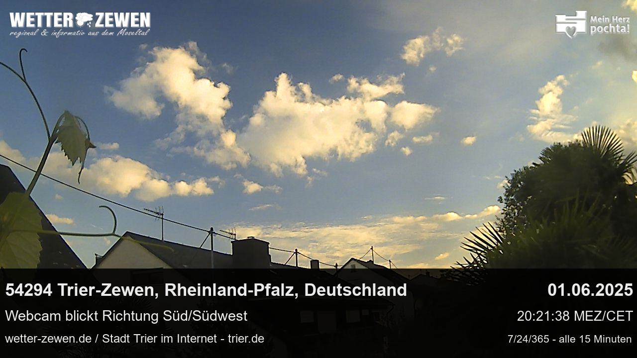 Bild