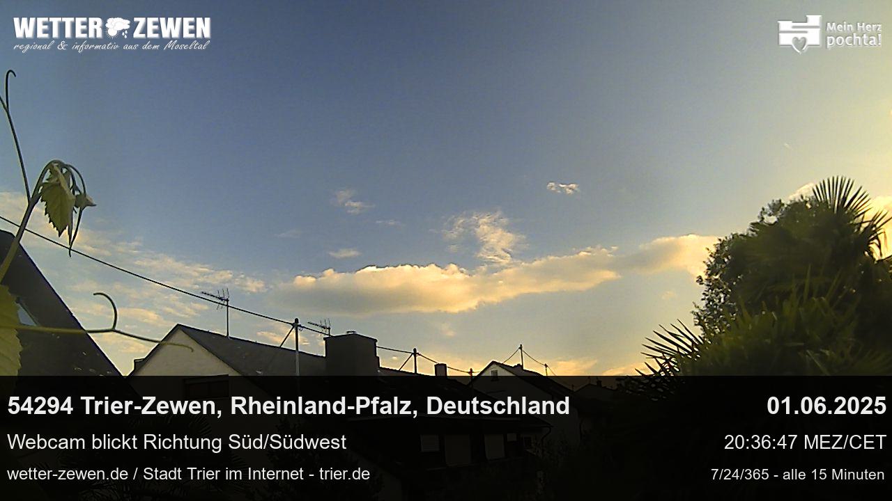 Bild