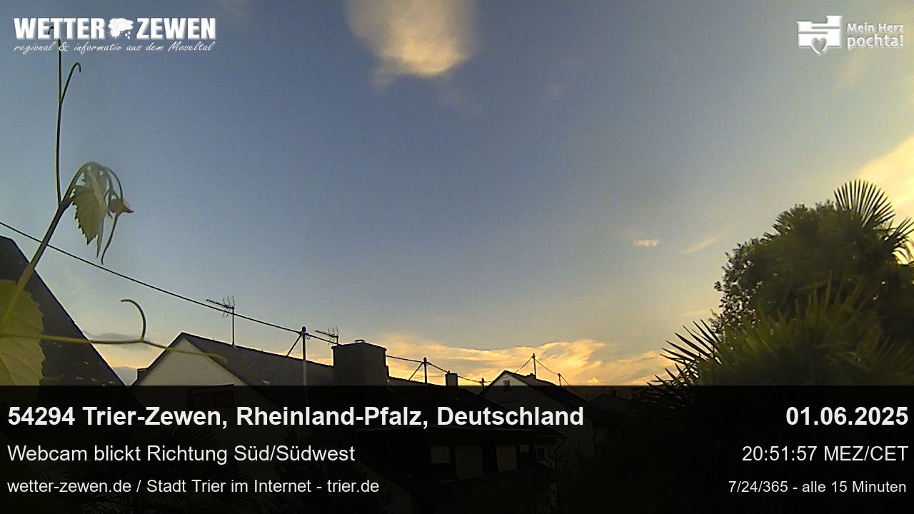 Bild