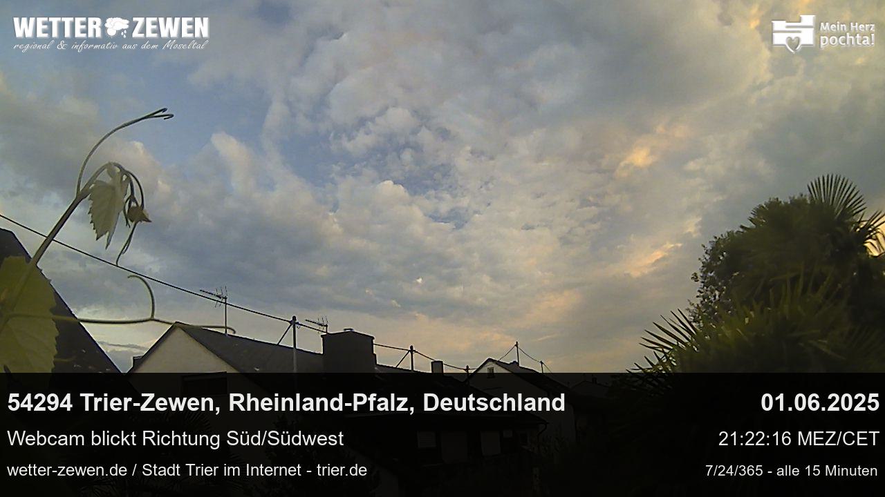 Bild