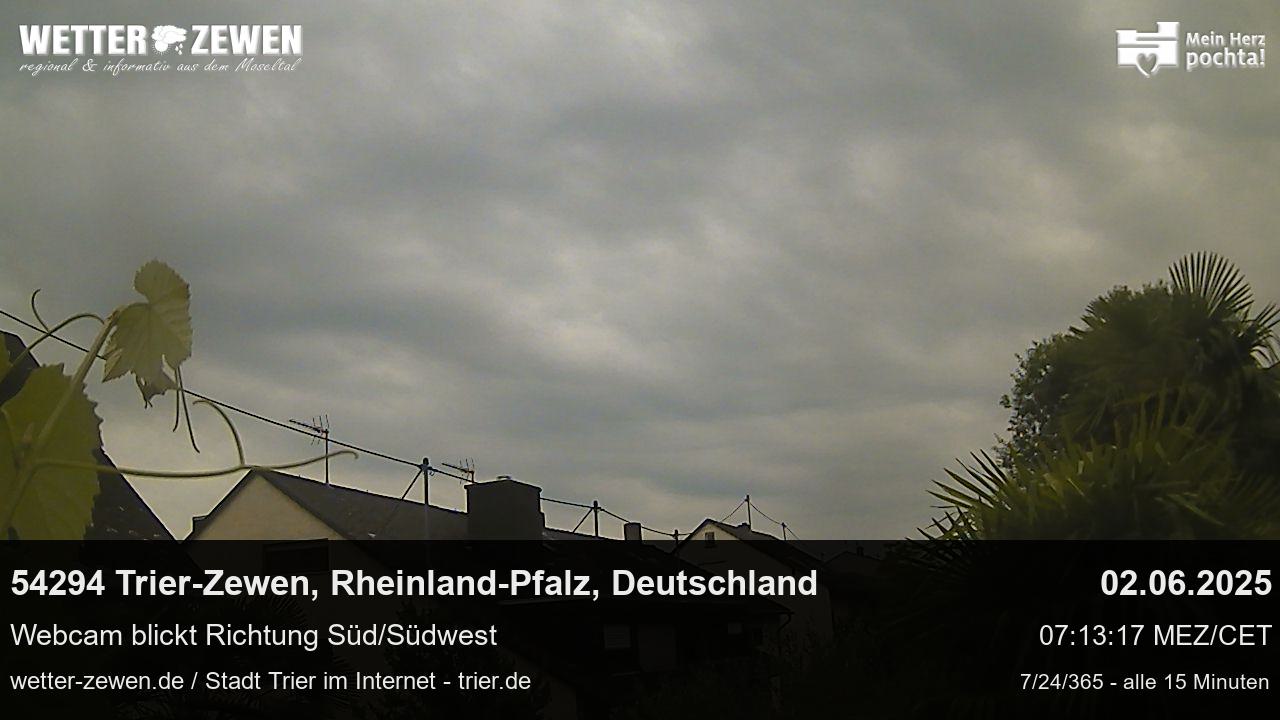 Bild