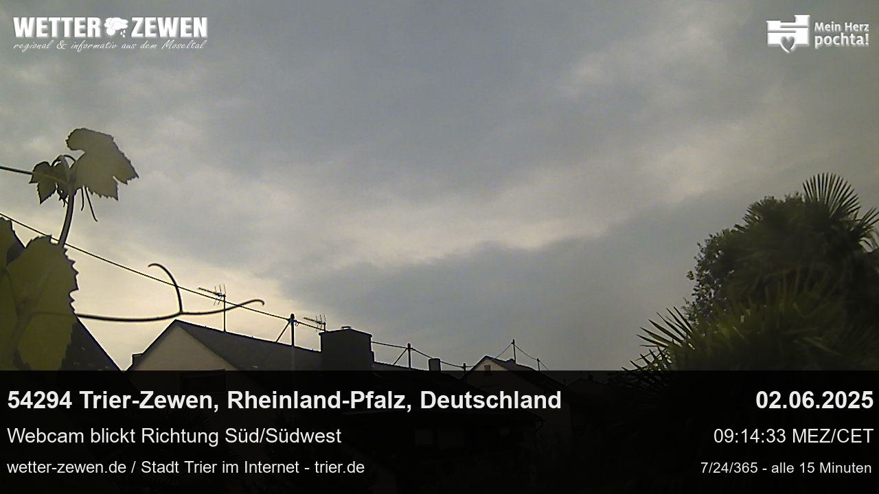 Bild