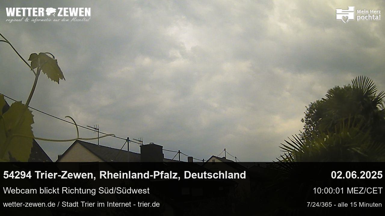 Bild