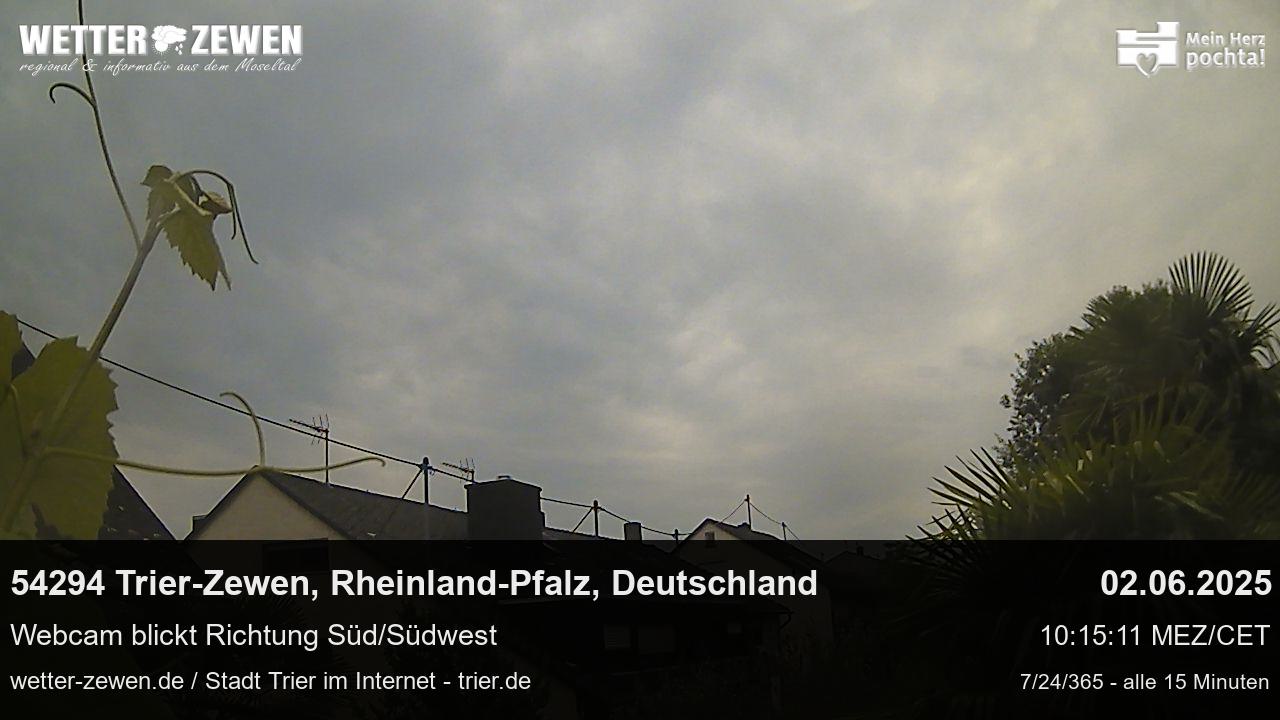 Bild