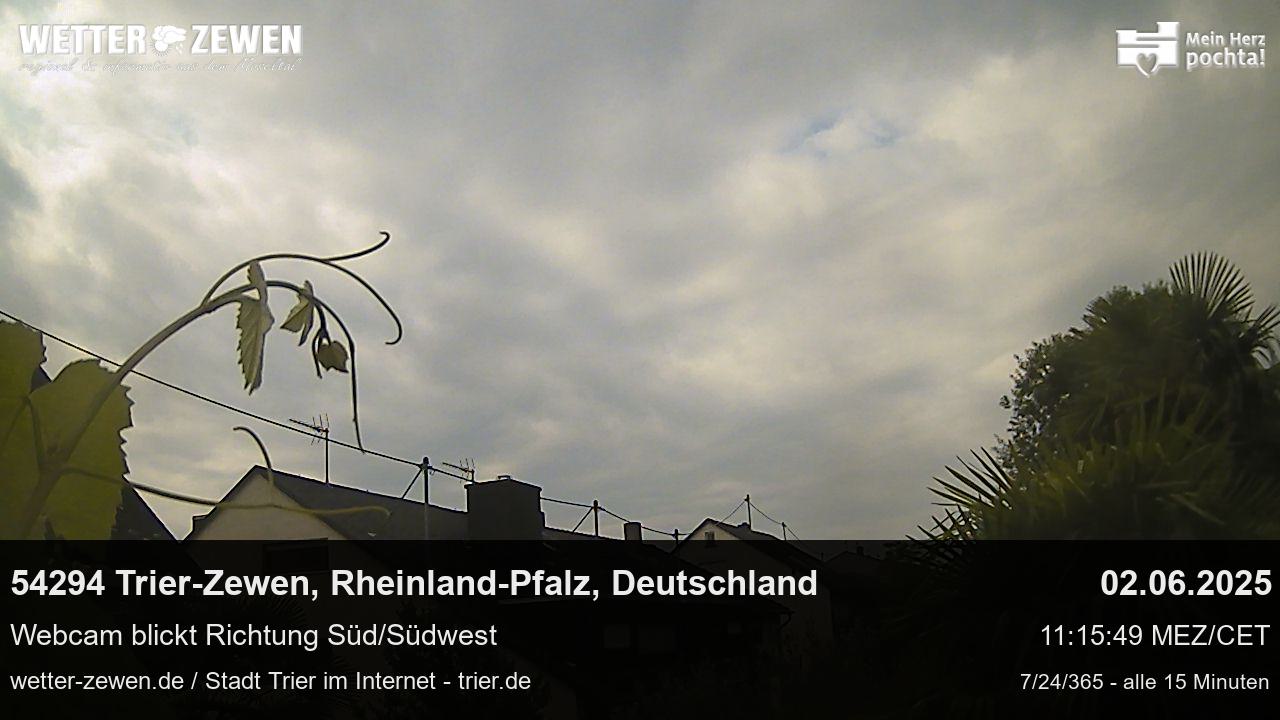 Bild