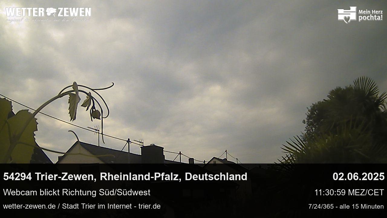 Bild