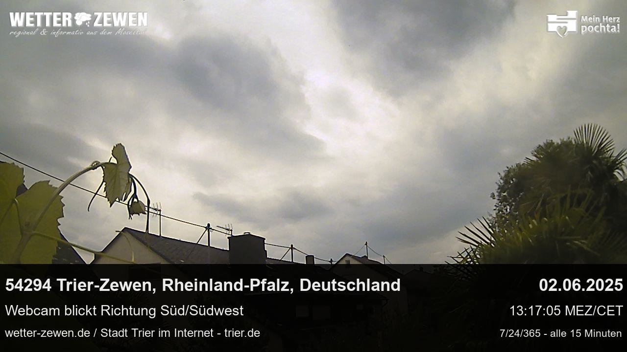 Bild