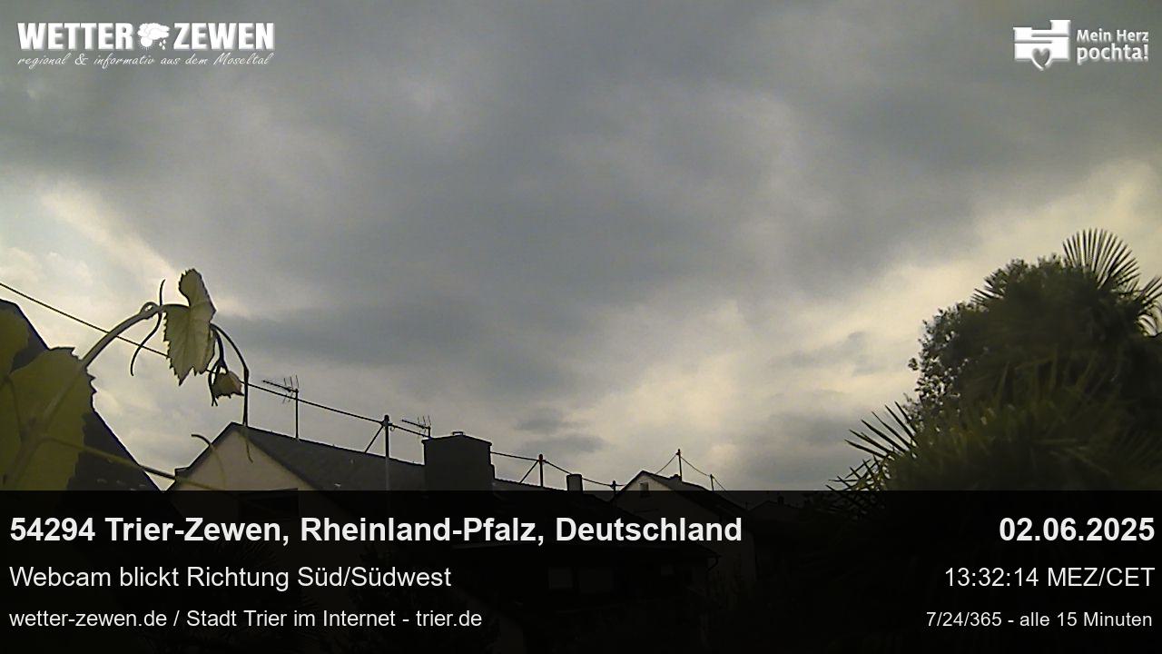 Bild