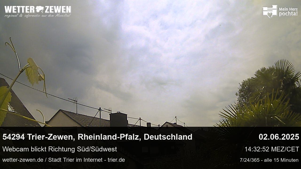 Bild