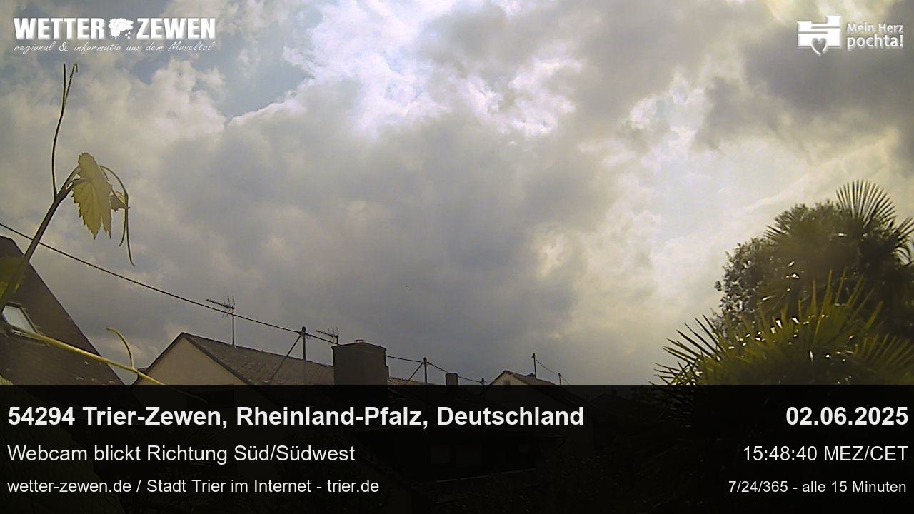 Bild