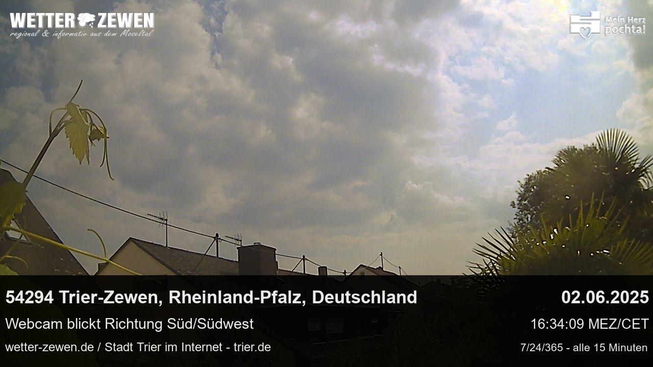 Bild