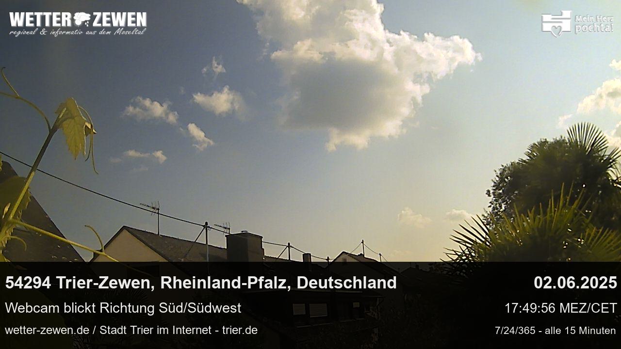 Bild