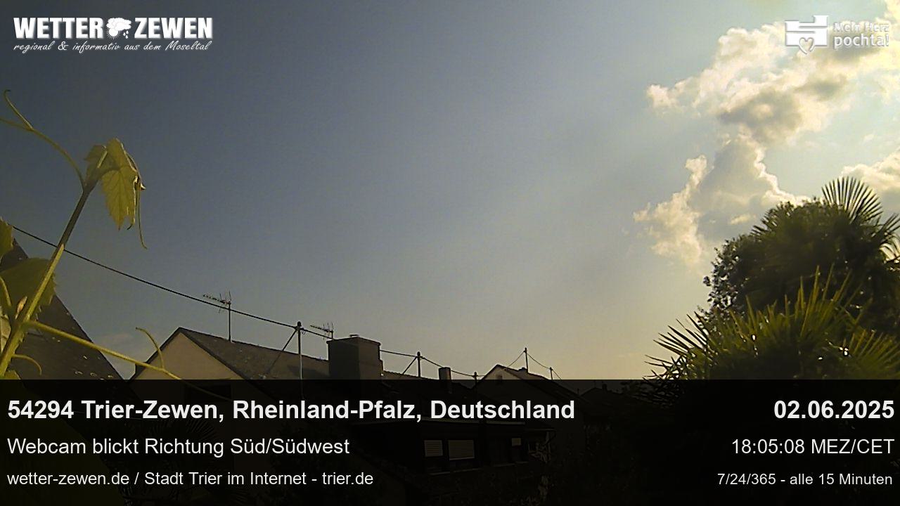 Bild