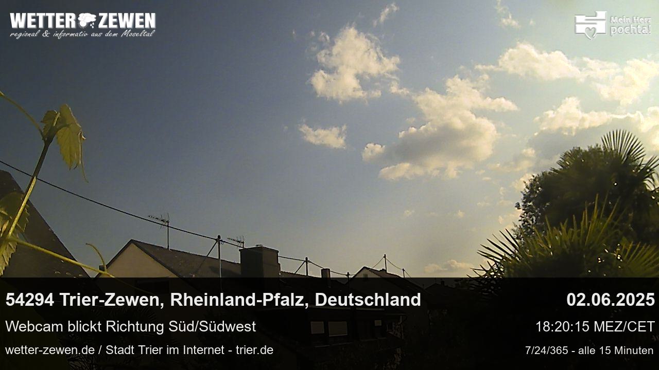 Bild