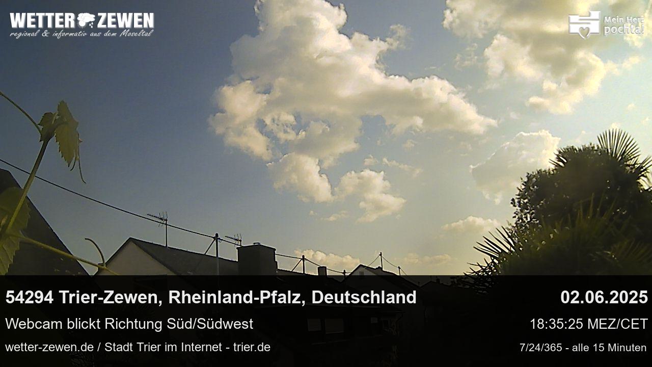 Bild