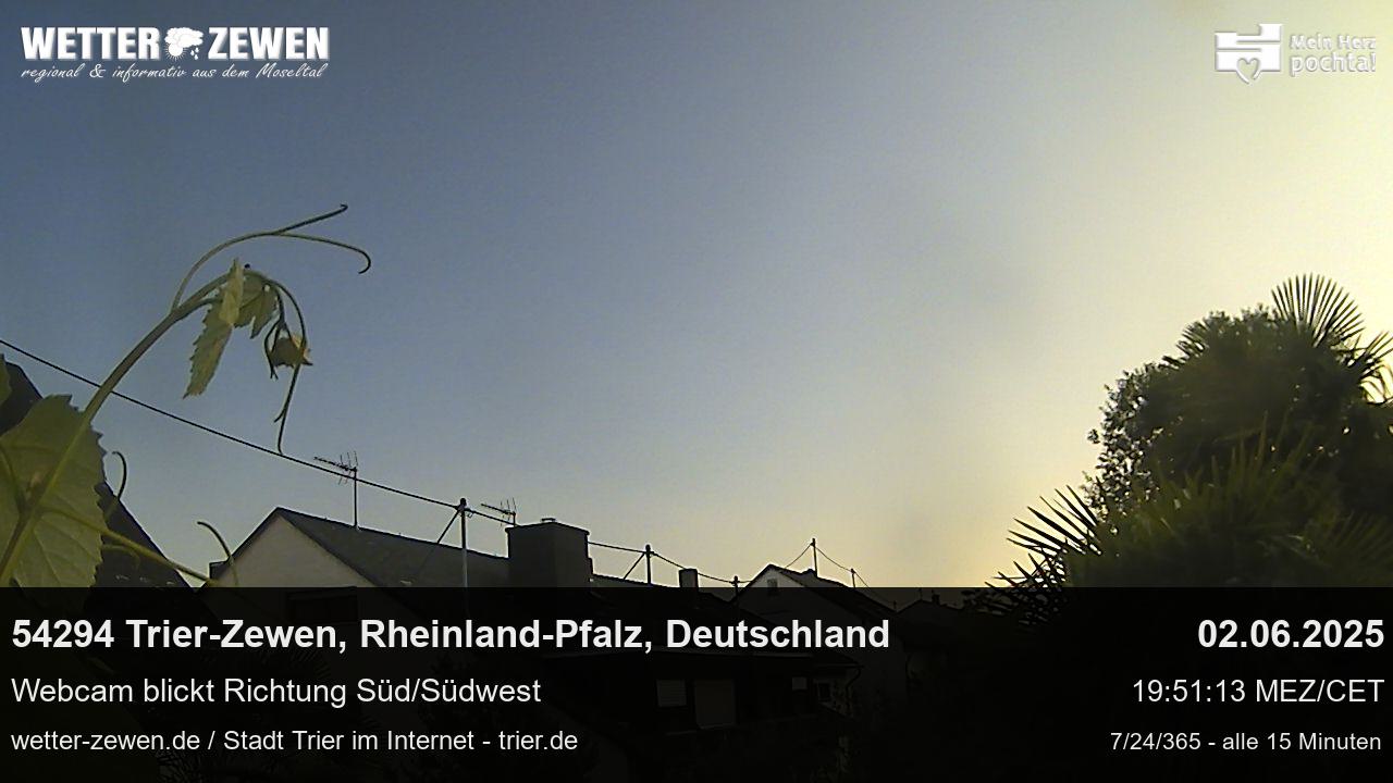 Bild