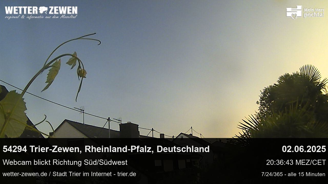 Bild