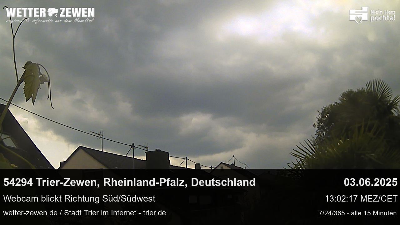 Bild