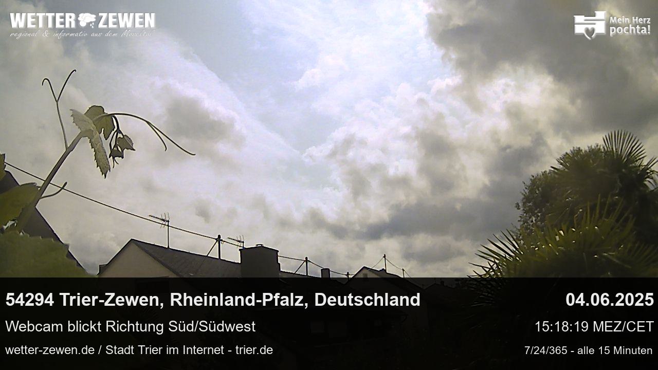 Bild