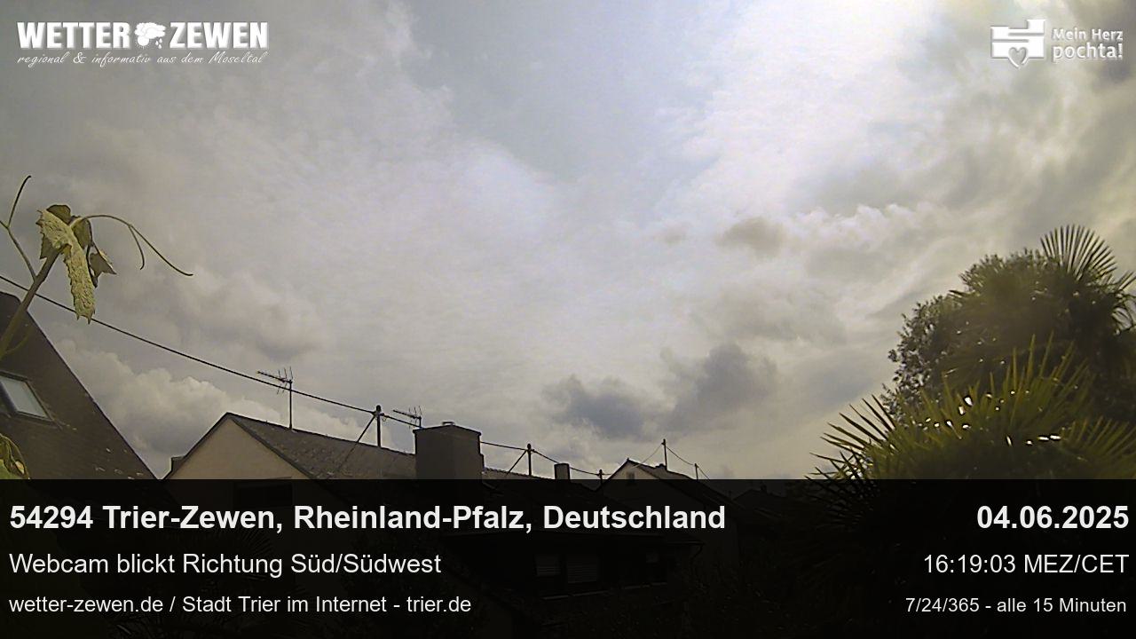 Bild