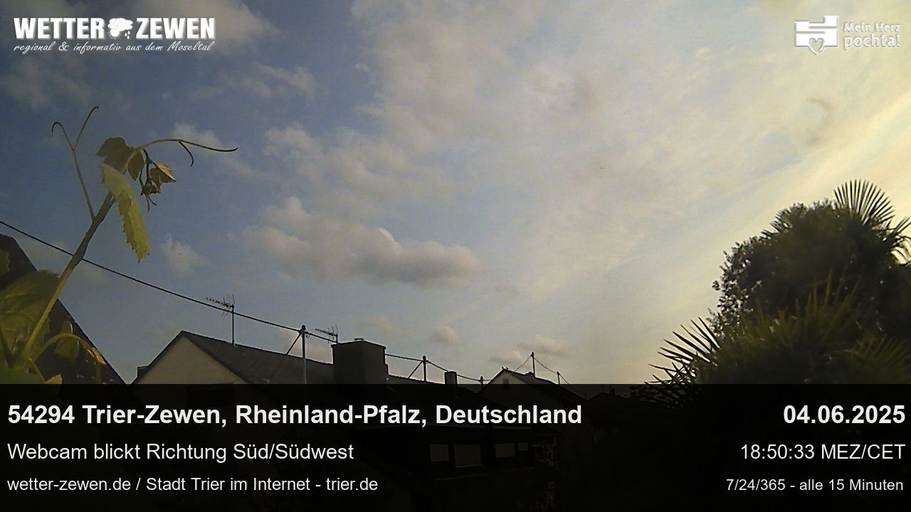 Bild