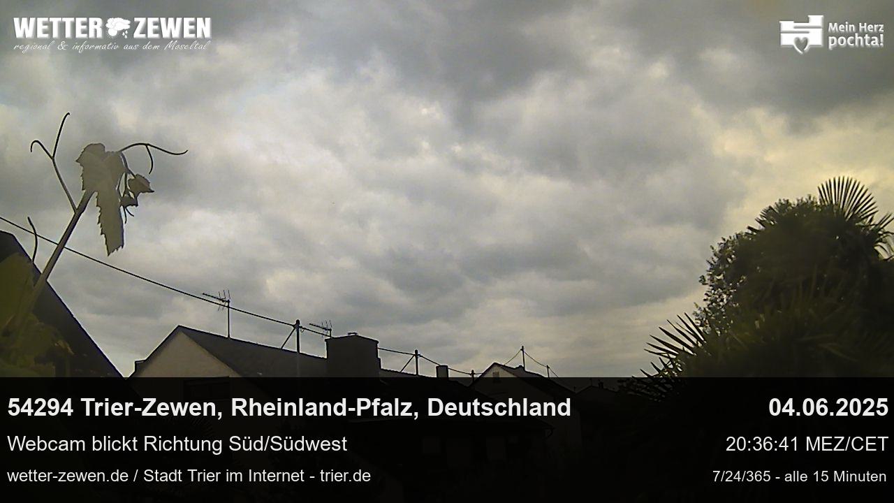 Bild