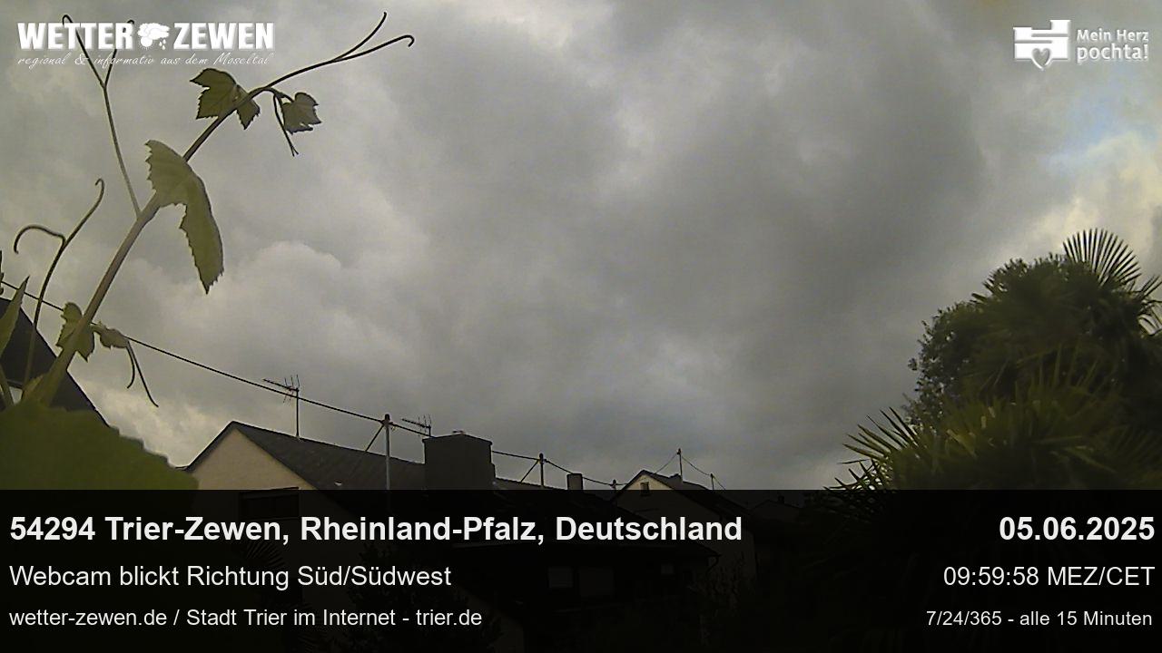 Bild