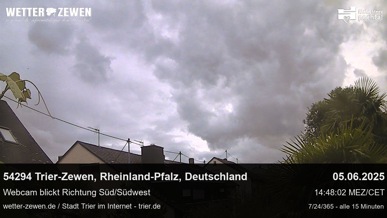 Bild
