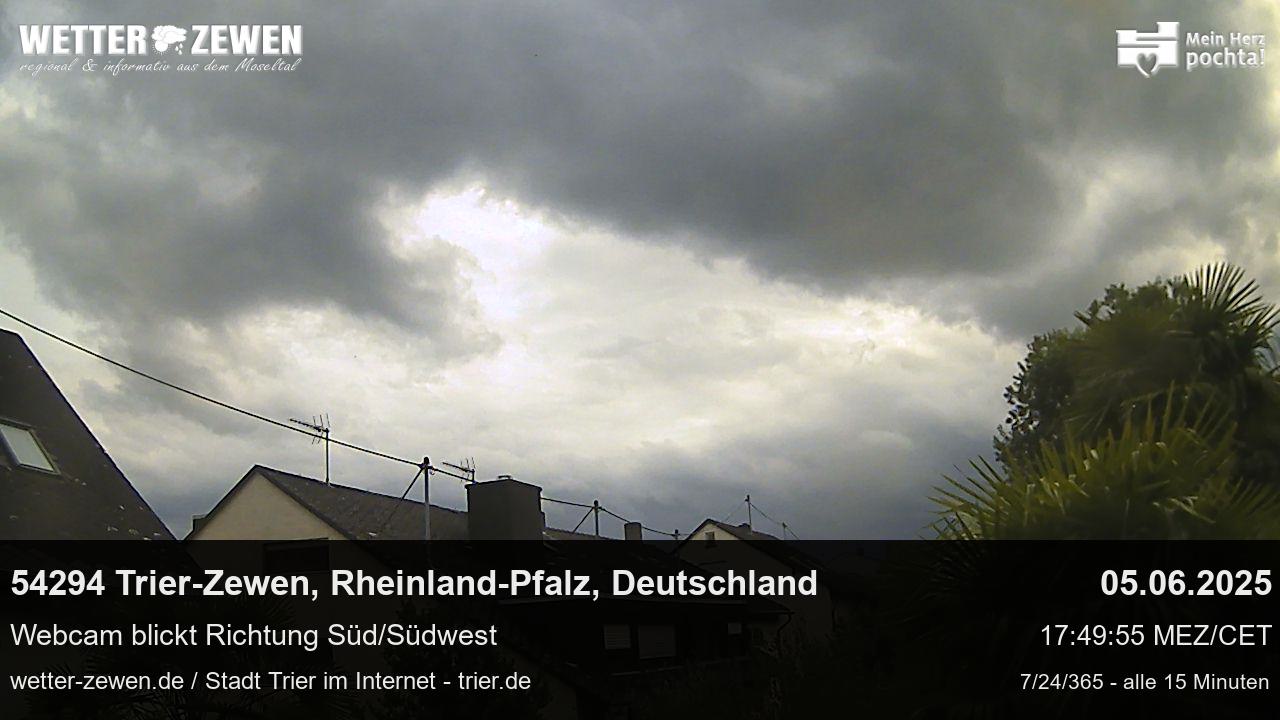 Bild
