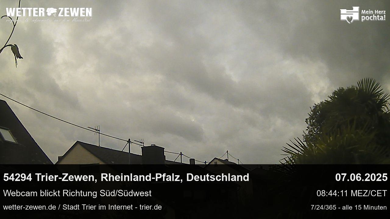 Bild