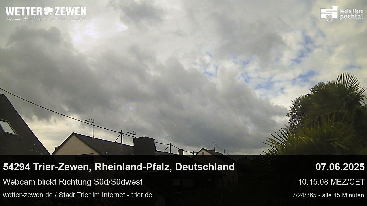Bild