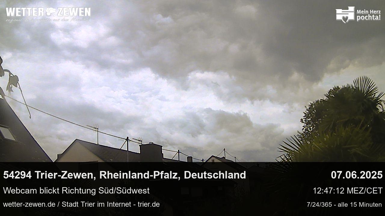 Bild