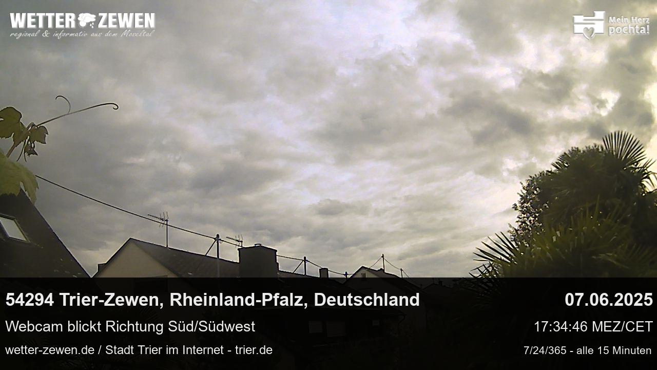 Bild