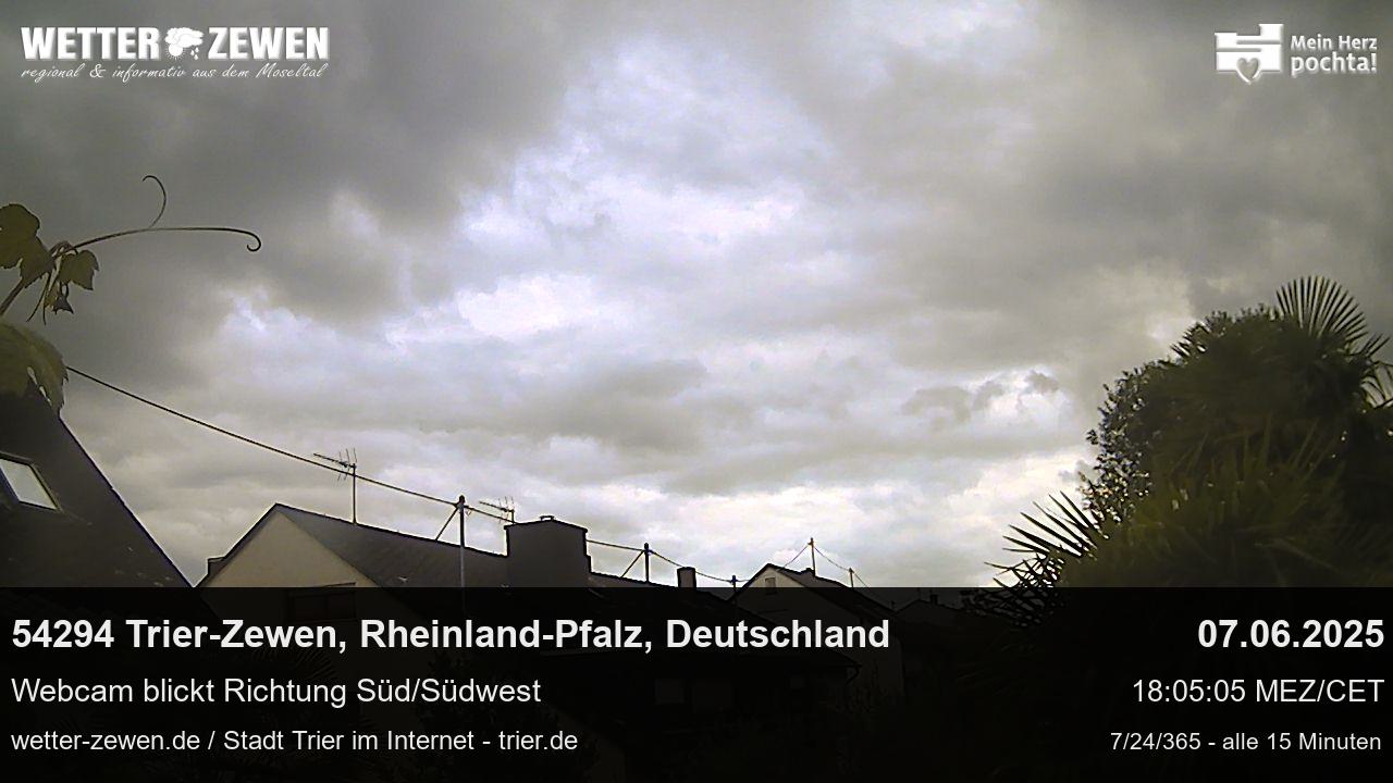 Bild