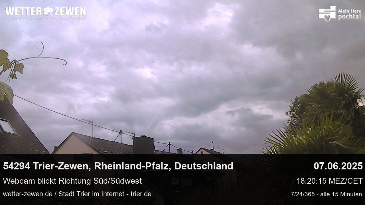 Bild
