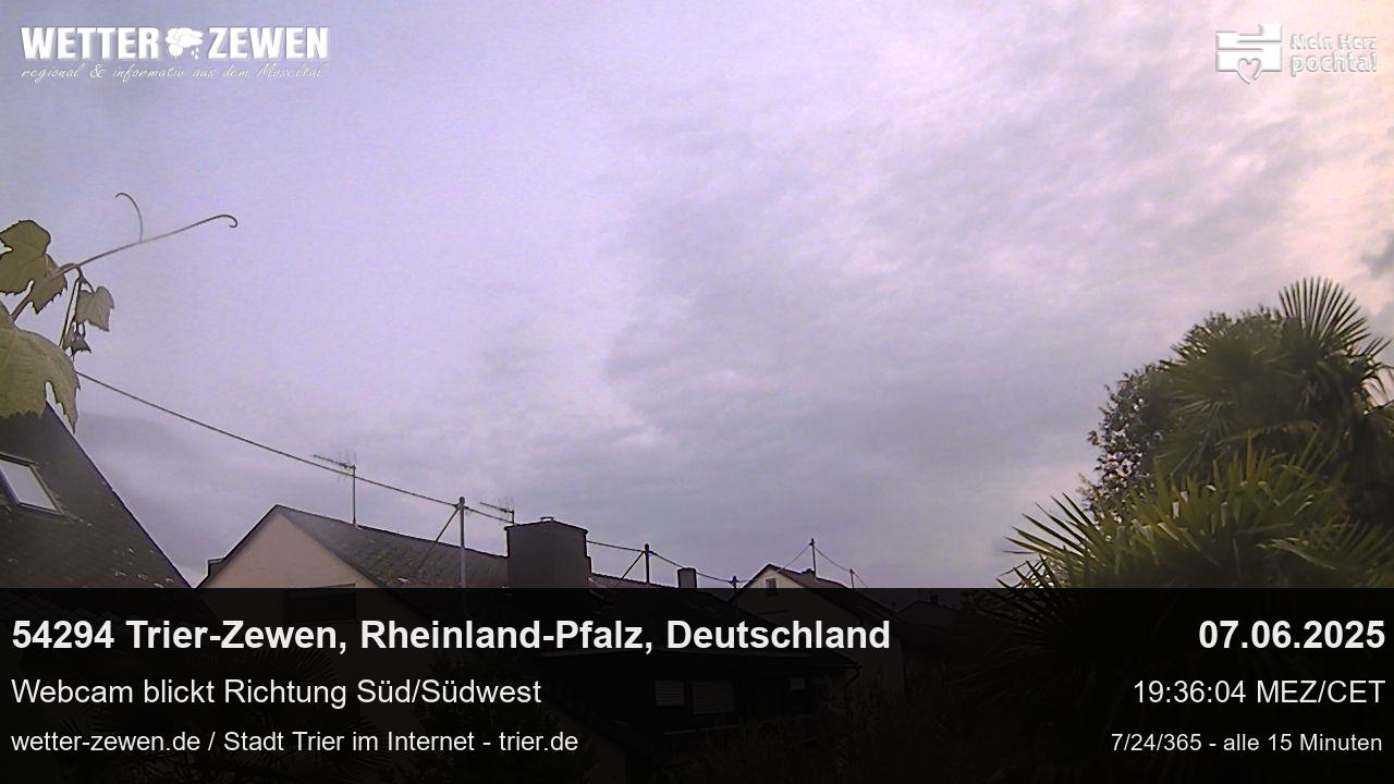 Bild